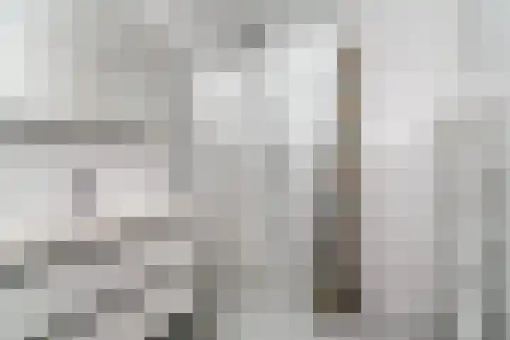 Baan 180 A 01 Rotterdam thumbnail 14