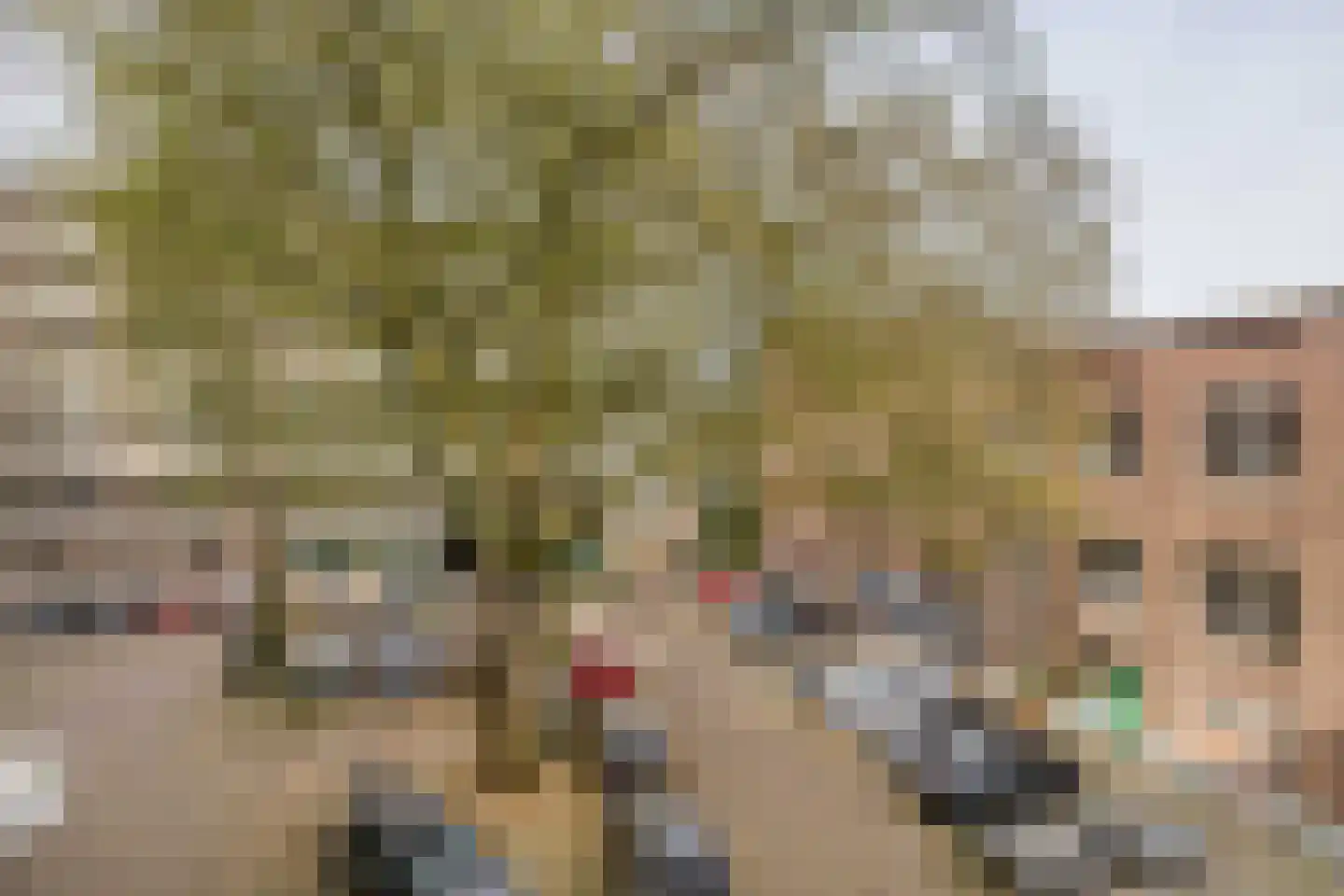 Baan 182 C 01 Rotterdam thumbnail 30