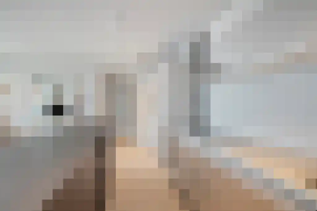 Baan 21 Rotterdam thumbnail 5