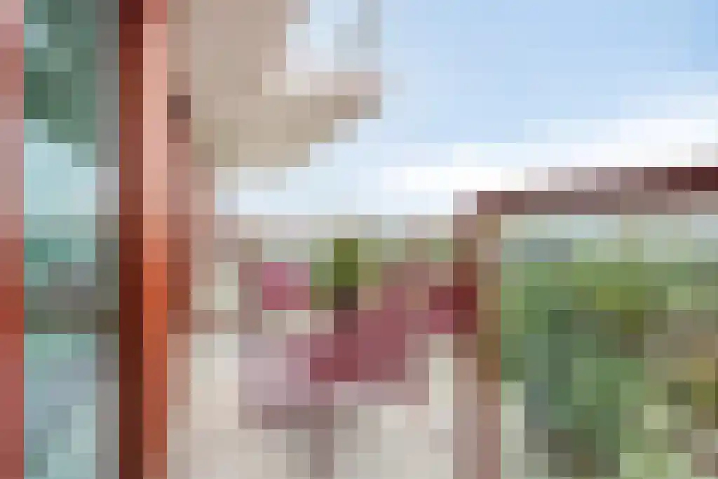 Baan 21 Rotterdam thumbnail 6
