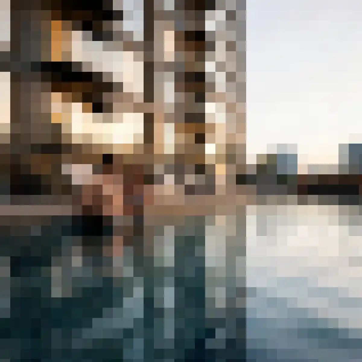 Baan 24 Rotterdam thumbnail 5