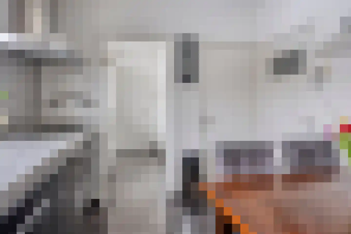 Baan 27 IJsselmuiden thumbnail 17
