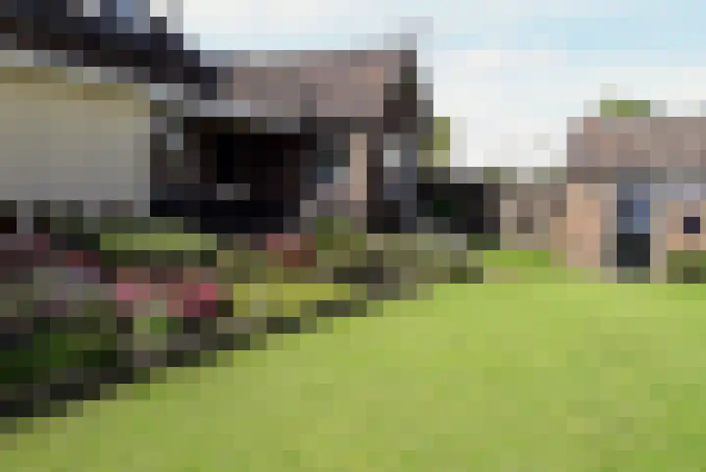 Baan 27 IJsselmuiden thumbnail 46