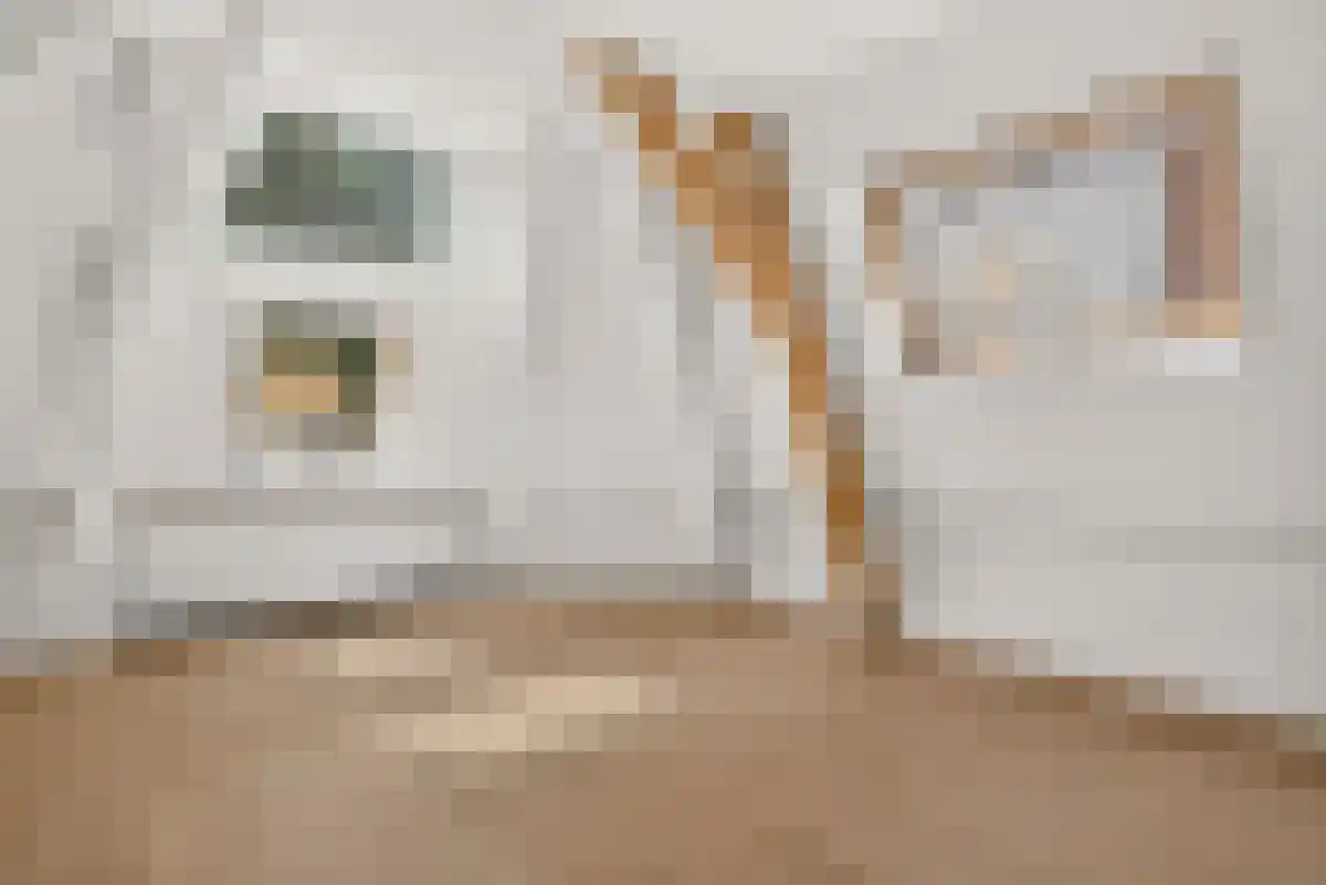 Baan 29 A Haarlem thumbnail 5