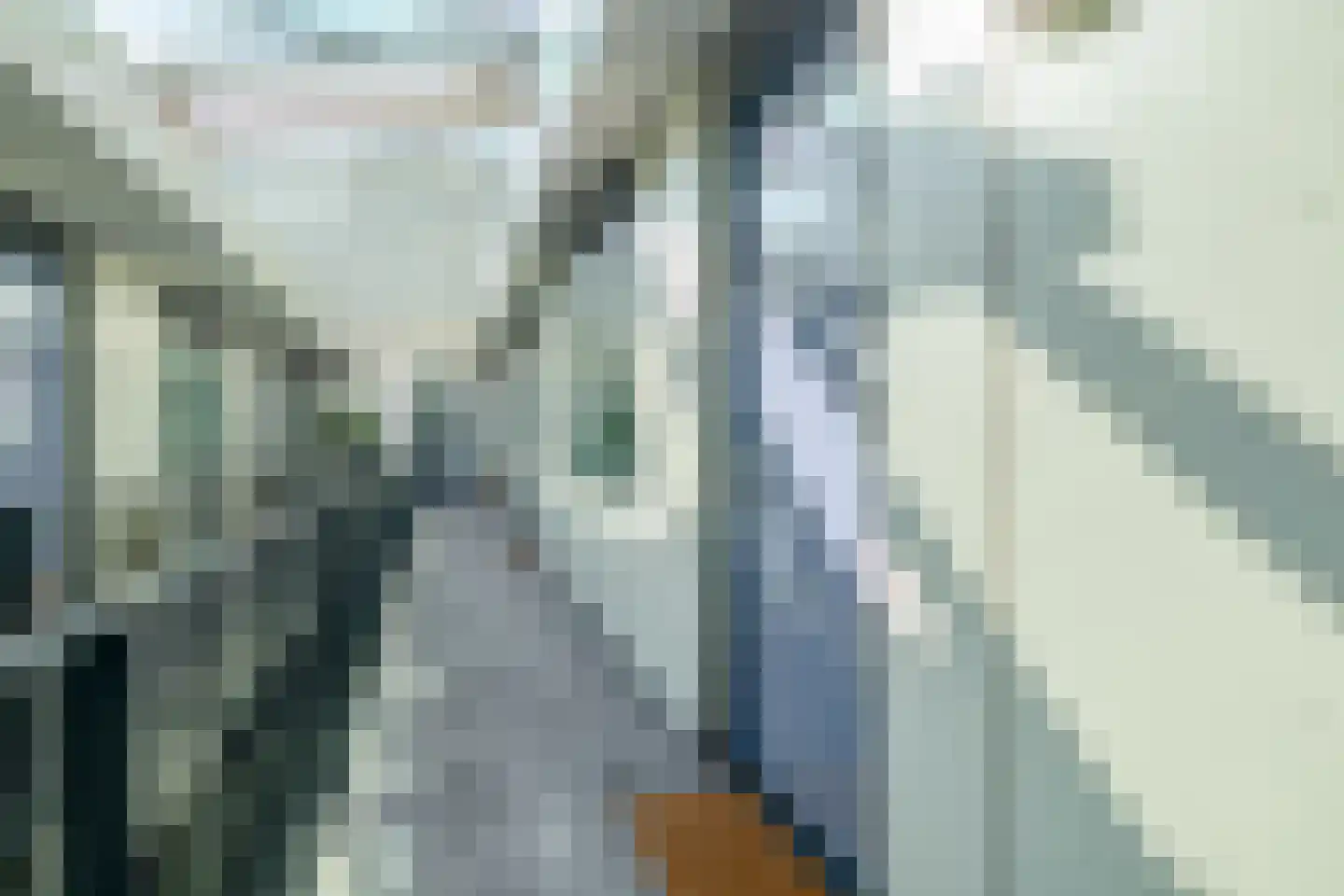 Baan 30 C Schiedam thumbnail 11