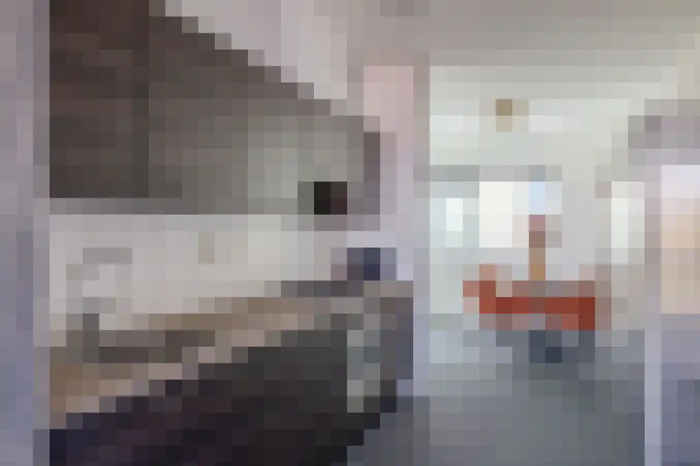 Baan 30 C Schiedam thumbnail 14