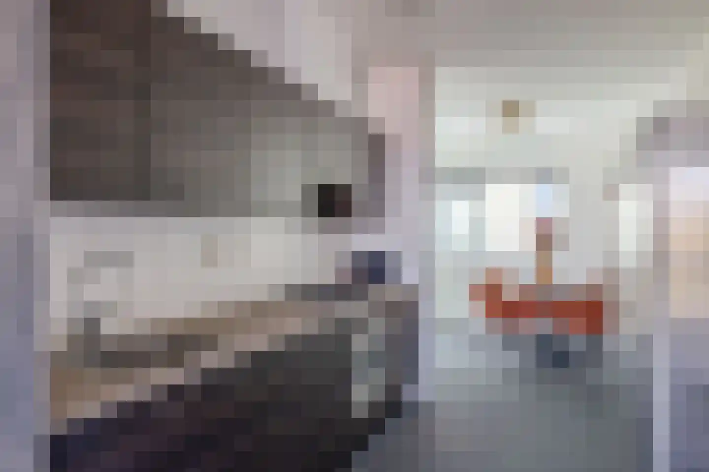 Baan 30 C Schiedam thumbnail 4