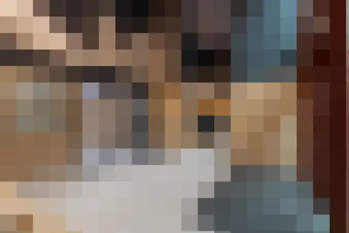 Baan 34 C 11 Rotterdam thumbnail 33