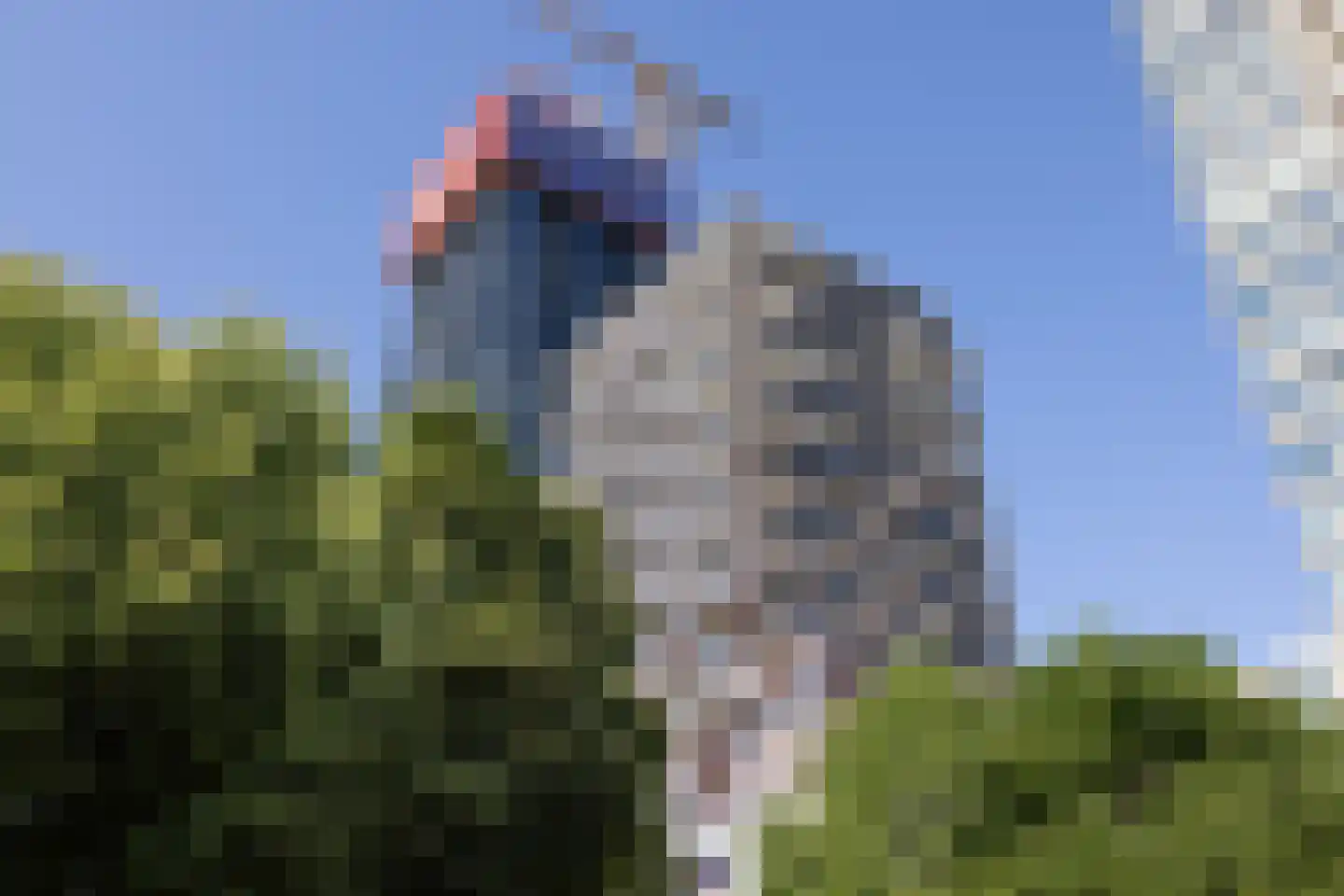 Baan 34 C 12 Rotterdam thumbnail 41