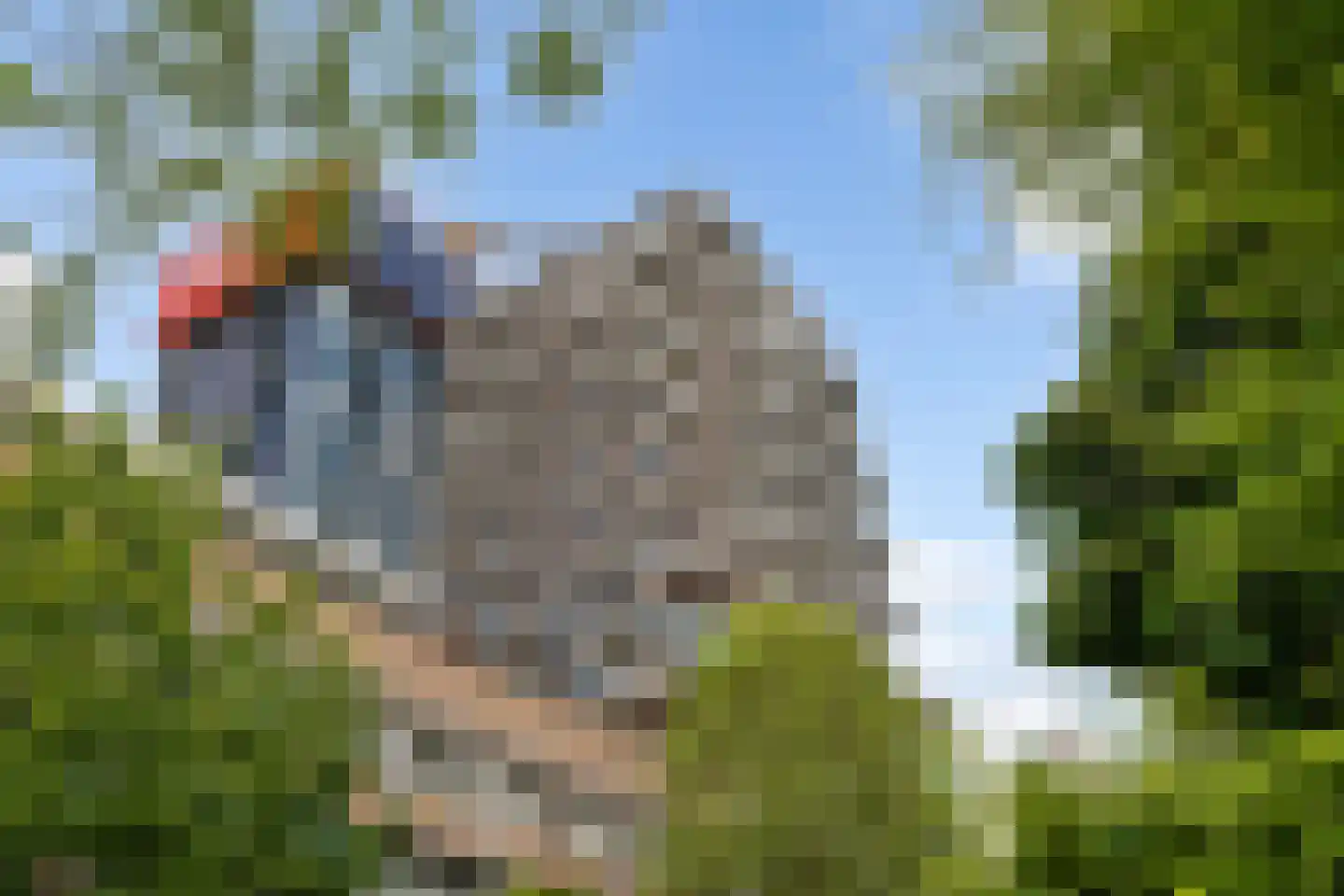 Baan 34 D 11 Rotterdam thumbnail 26