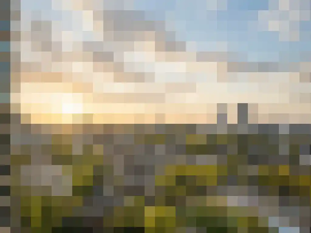 Baan 34 D 14 Rotterdam thumbnail 20