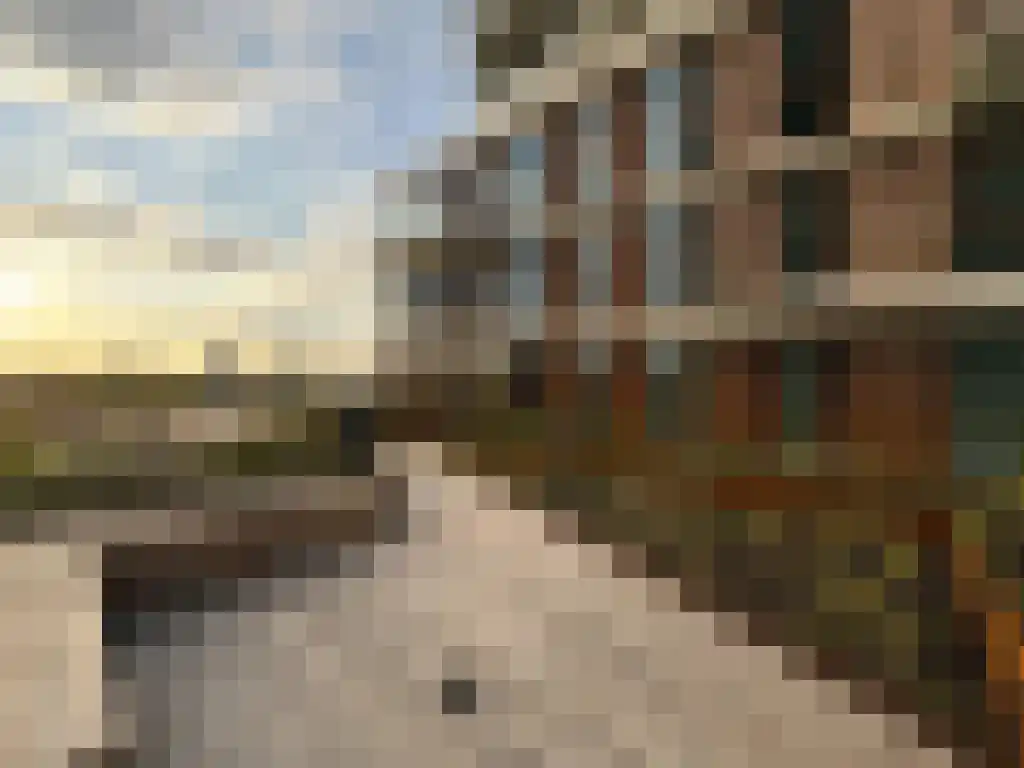 Baan 34 D 14 Rotterdam thumbnail 26