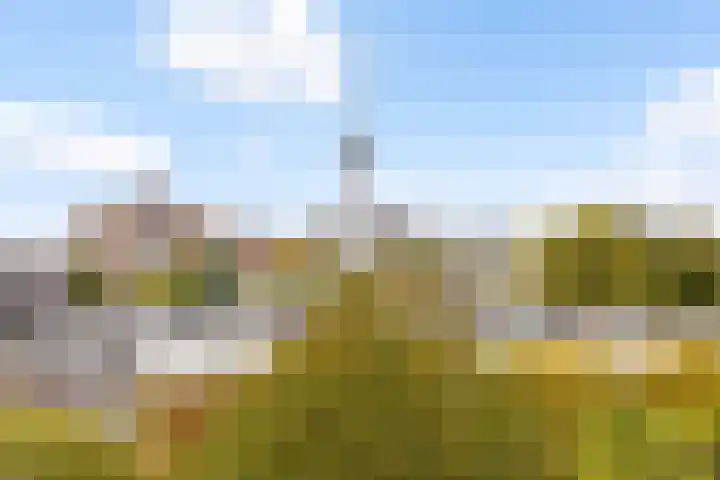 Baan 34 L 7 Rotterdam thumbnail 10
