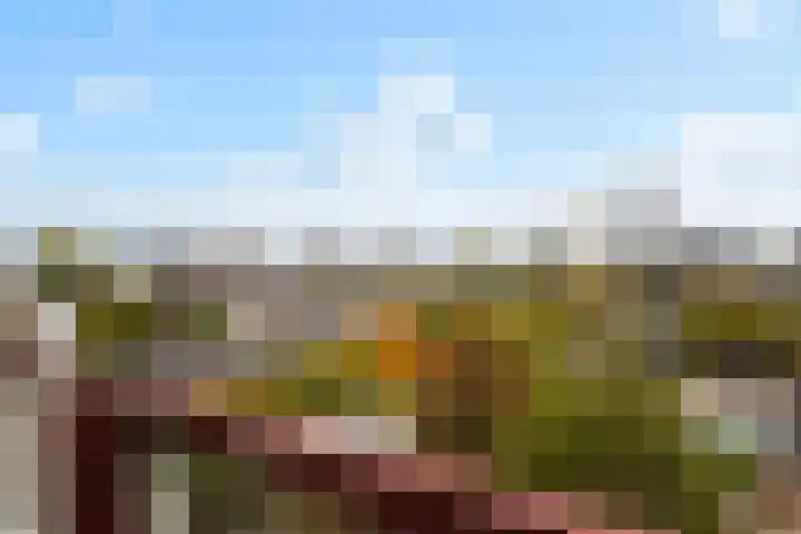 Baan 34 L 7 Rotterdam thumbnail 27
