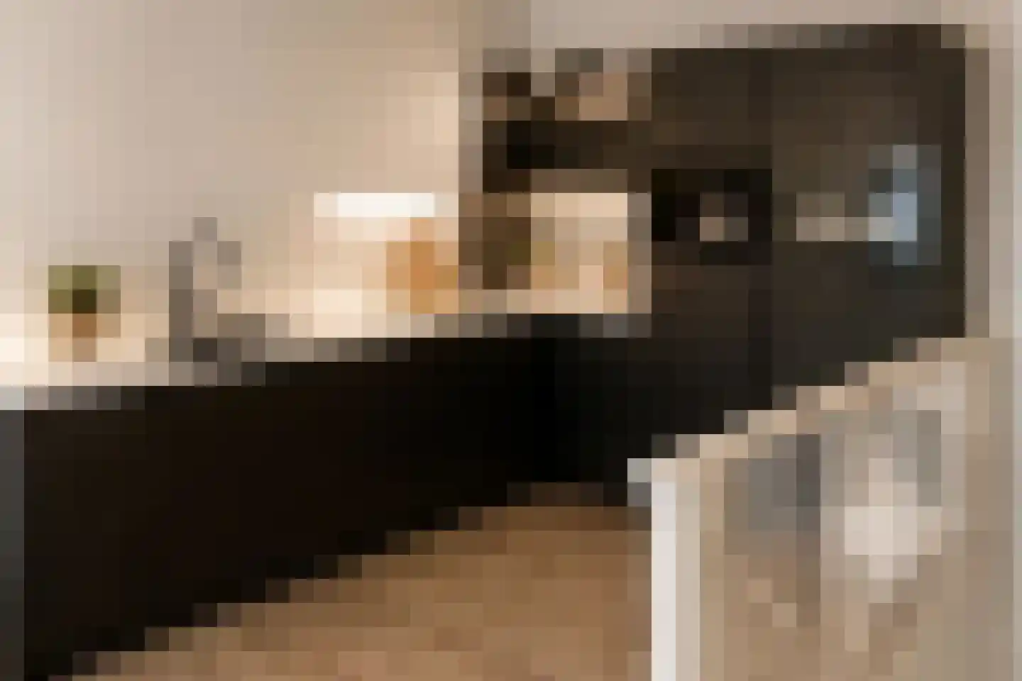 Baan 36 A Rotterdam thumbnail 10
