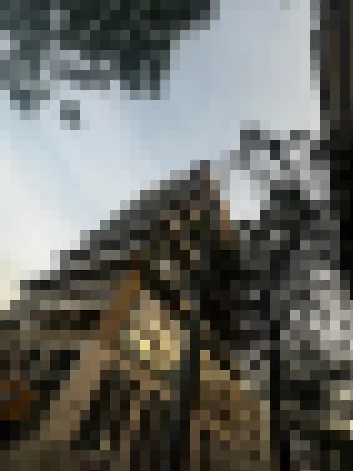 Baan 36 A Rotterdam thumbnail 17