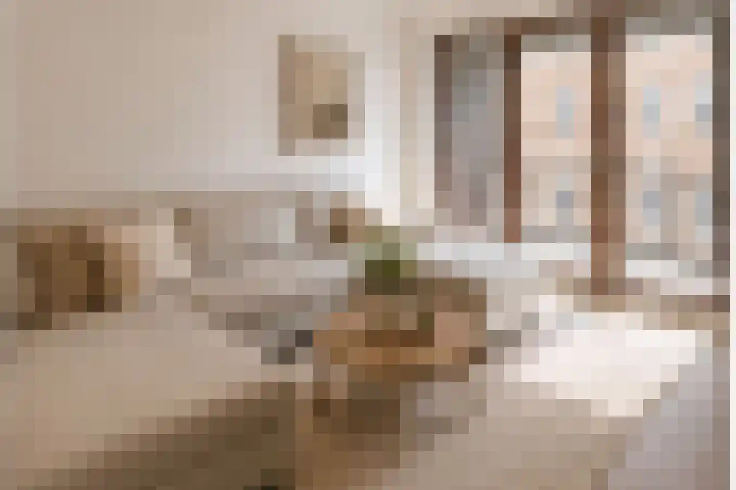 Baan 36 A Rotterdam thumbnail 5