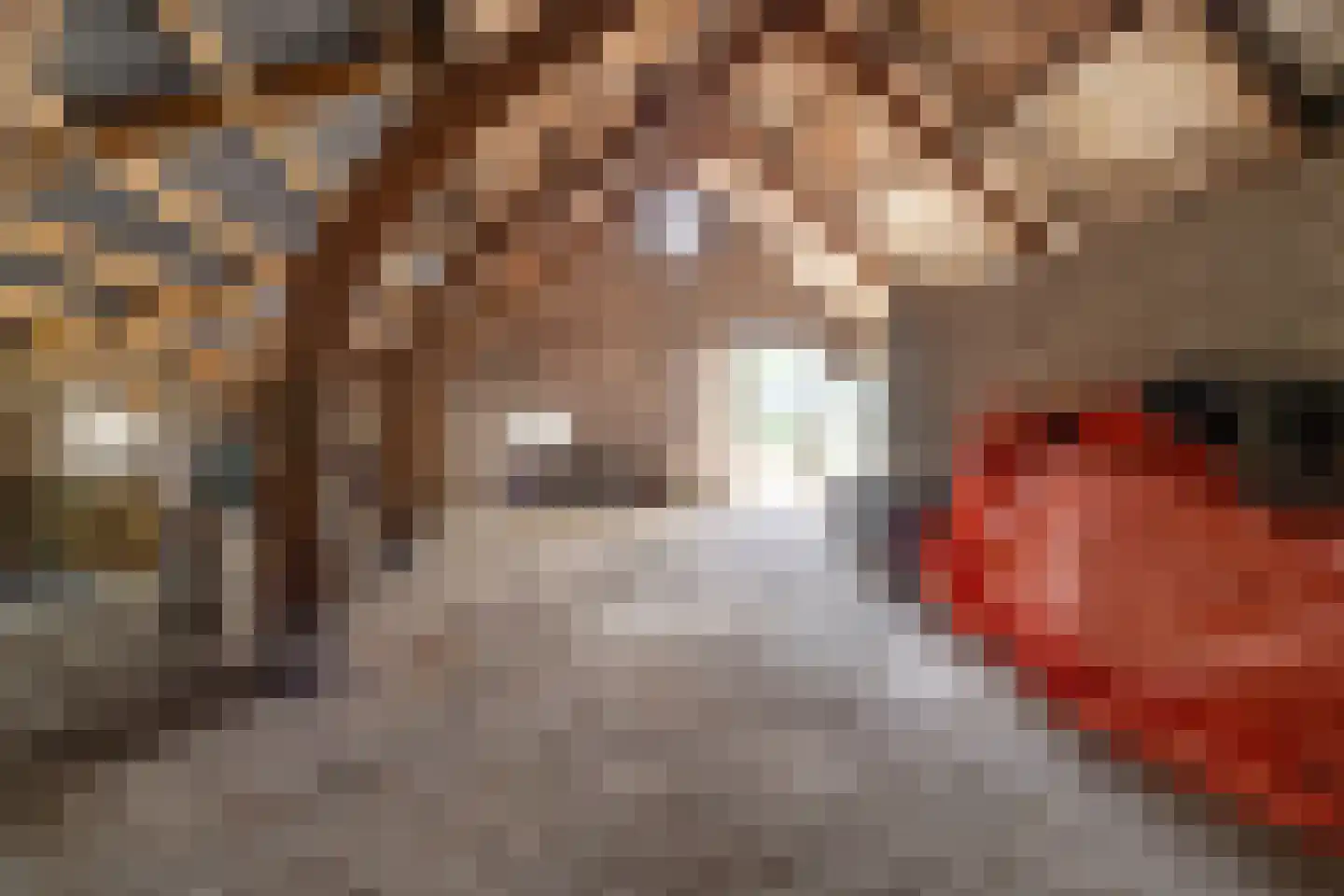 Baan 36 Kaatsheuvel thumbnail 16