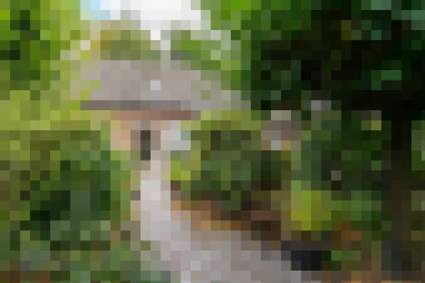 Baan 36 Kaatsheuvel thumbnail 37