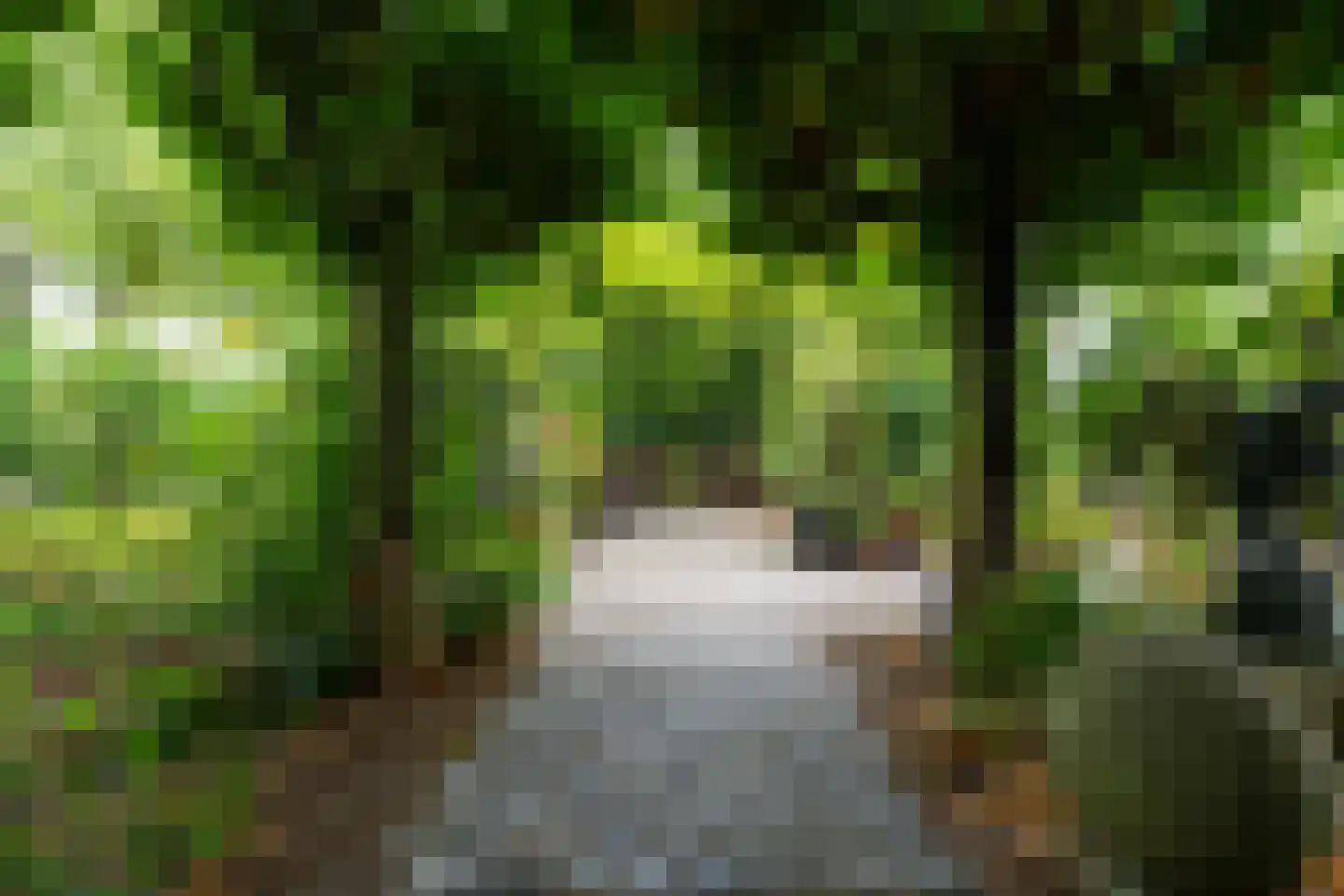 Baan 36 Kaatsheuvel thumbnail 39