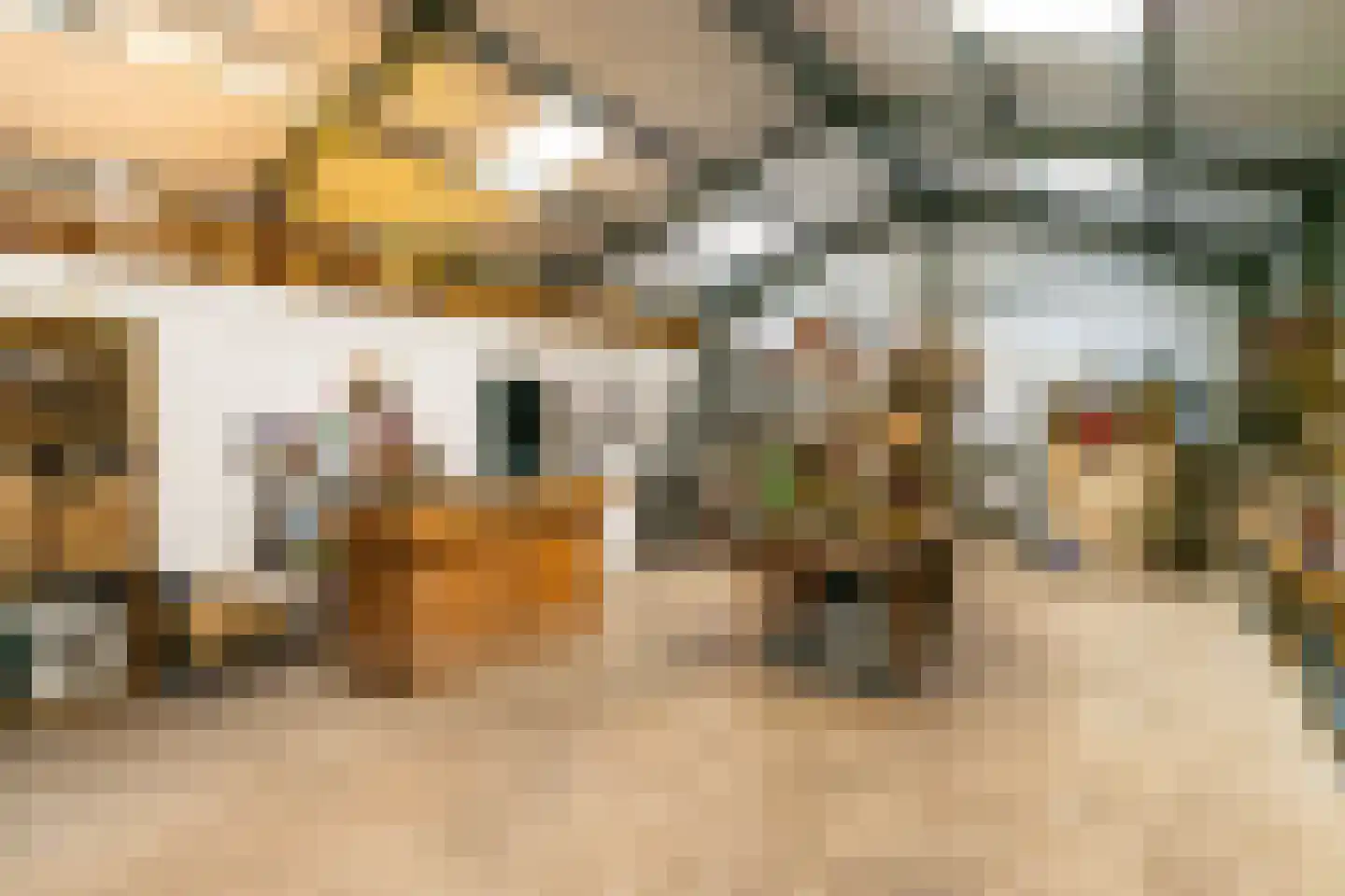 Baan 36 Kaatsheuvel thumbnail 44