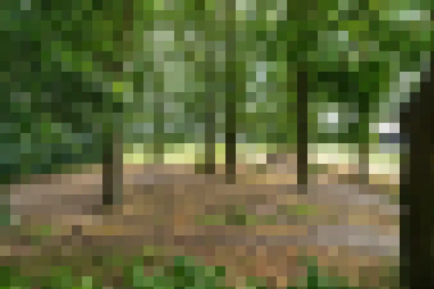 Baan 36 Kaatsheuvel thumbnail 53