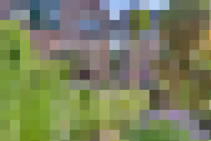 Baan 40 IJsselmuiden thumbnail 23