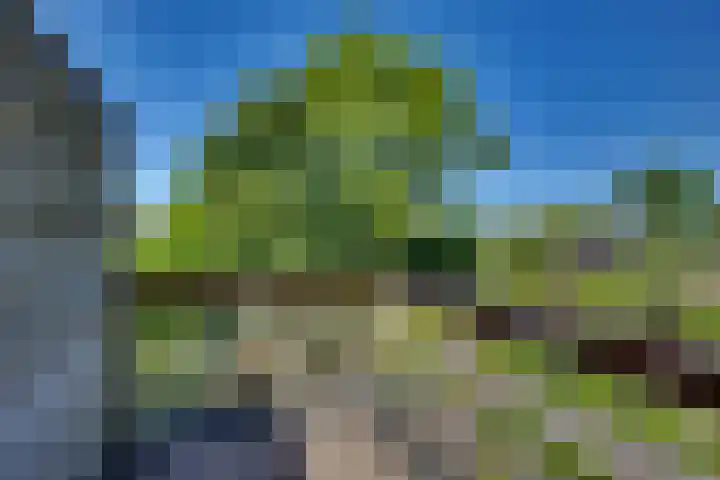 Baan 40 IJsselmuiden thumbnail 30