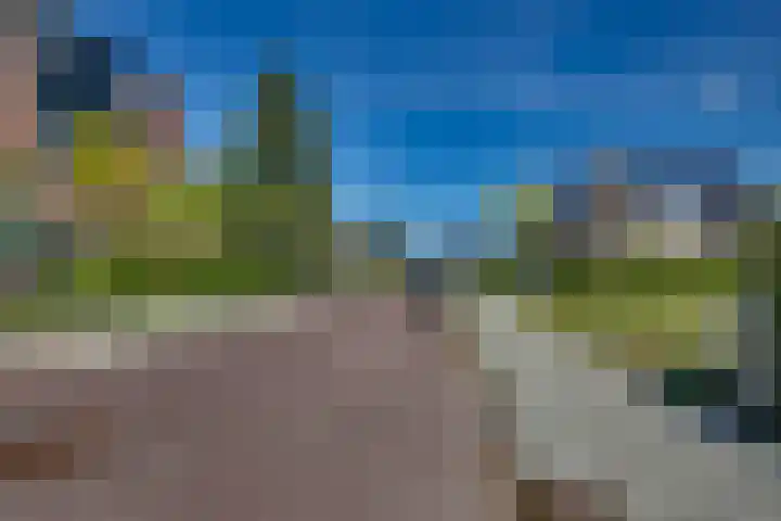 Baan 40 IJsselmuiden thumbnail 41