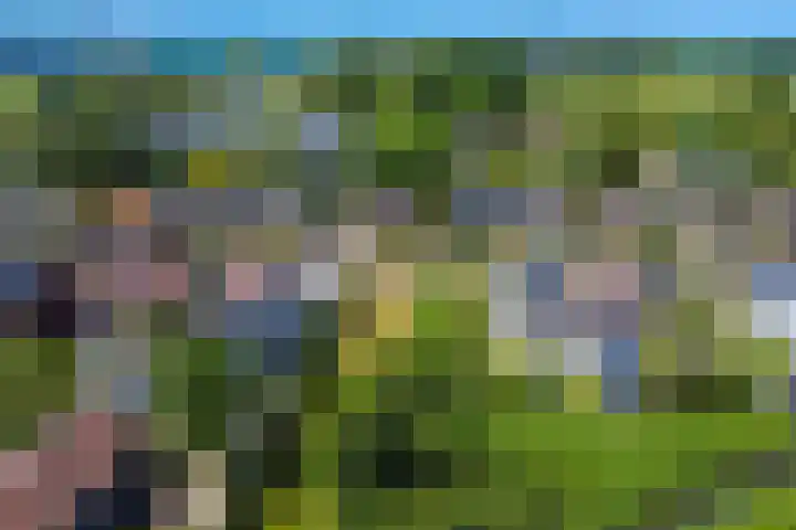 Baan 40 IJsselmuiden thumbnail 5