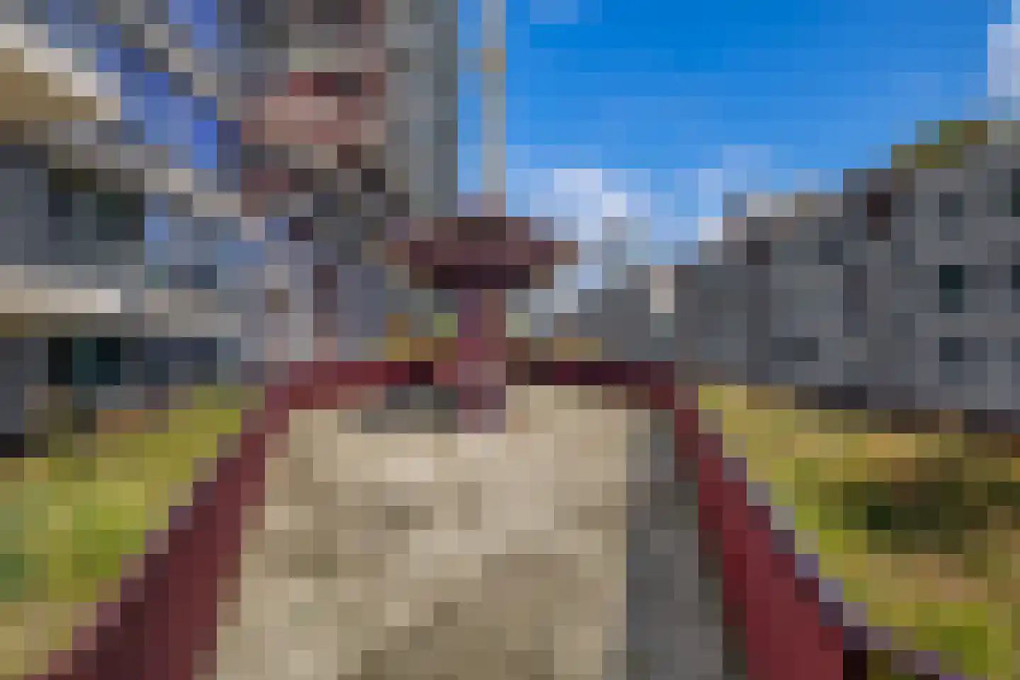 Baan 44 Z Rotterdam thumbnail 46