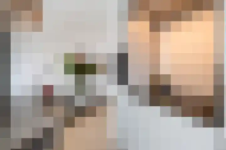 Baan 46 H Rotterdam thumbnail 15