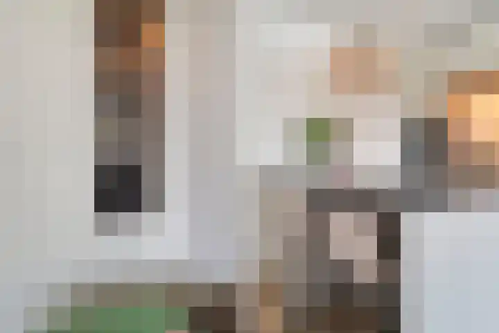 Baan 46 H Rotterdam thumbnail 16