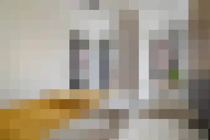 Baan 46 H Rotterdam thumbnail 21