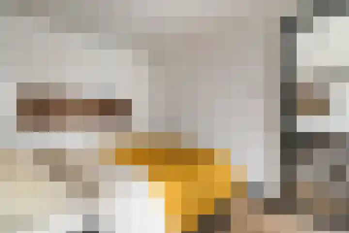 Baan 46 H Rotterdam thumbnail 23