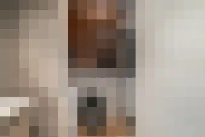 Baan 46 H Rotterdam thumbnail 27
