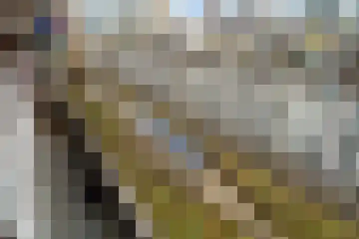 Baan 46 H Rotterdam thumbnail 34