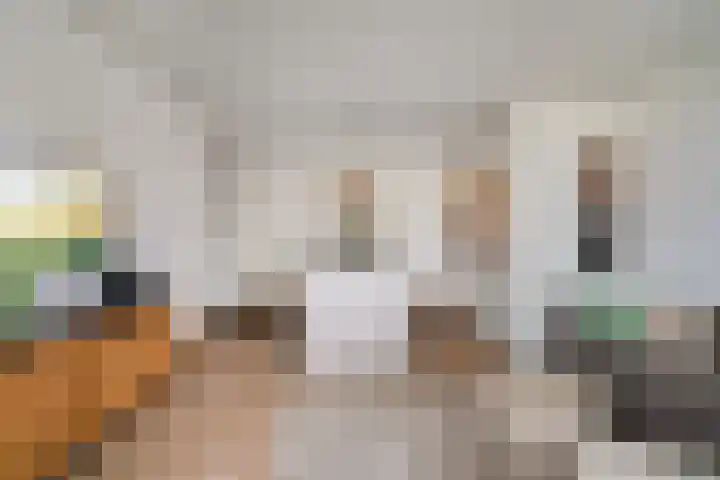 Baan 46 H Rotterdam thumbnail 9