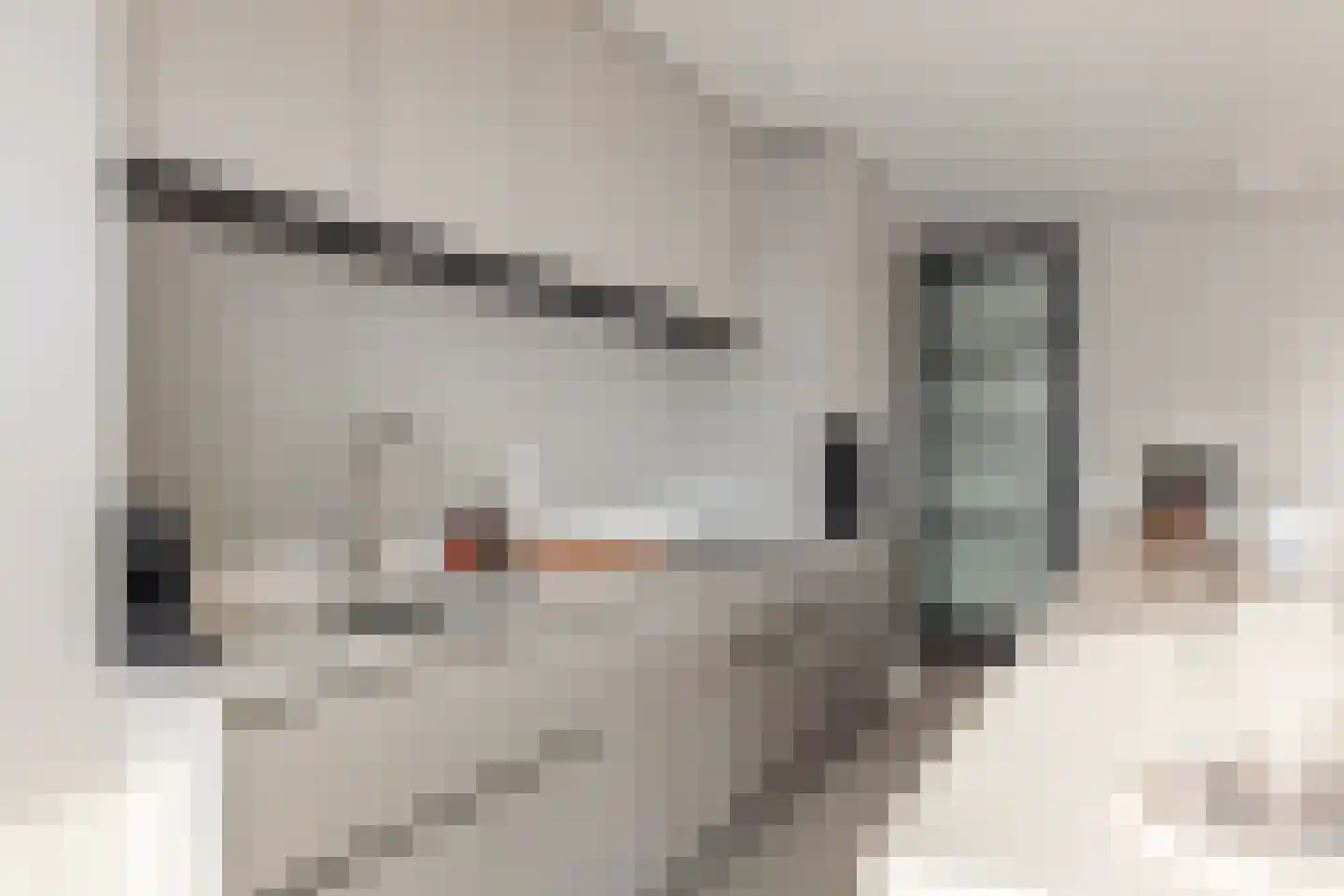 Baan 46 M Rotterdam thumbnail 13
