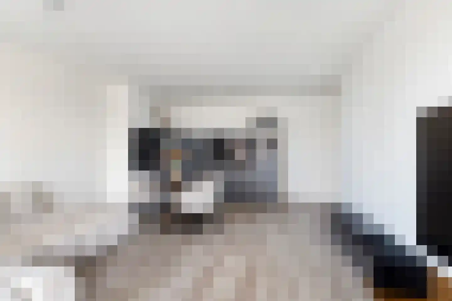 Baan 46 N Rotterdam thumbnail 21