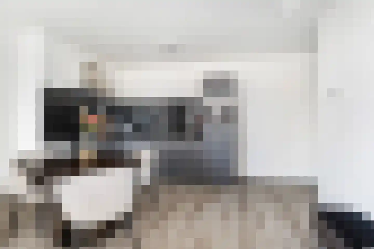 Baan 46 N Rotterdam thumbnail 22