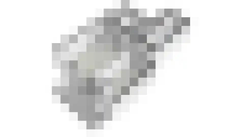 Baan 46 N Rotterdam thumbnail 38
