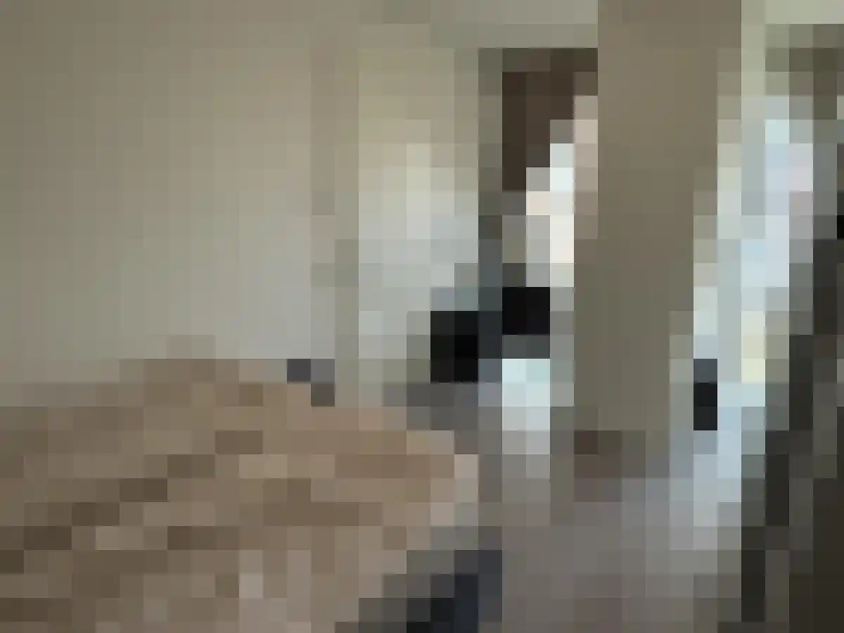 Baan 46 Rotterdam thumbnail 4
