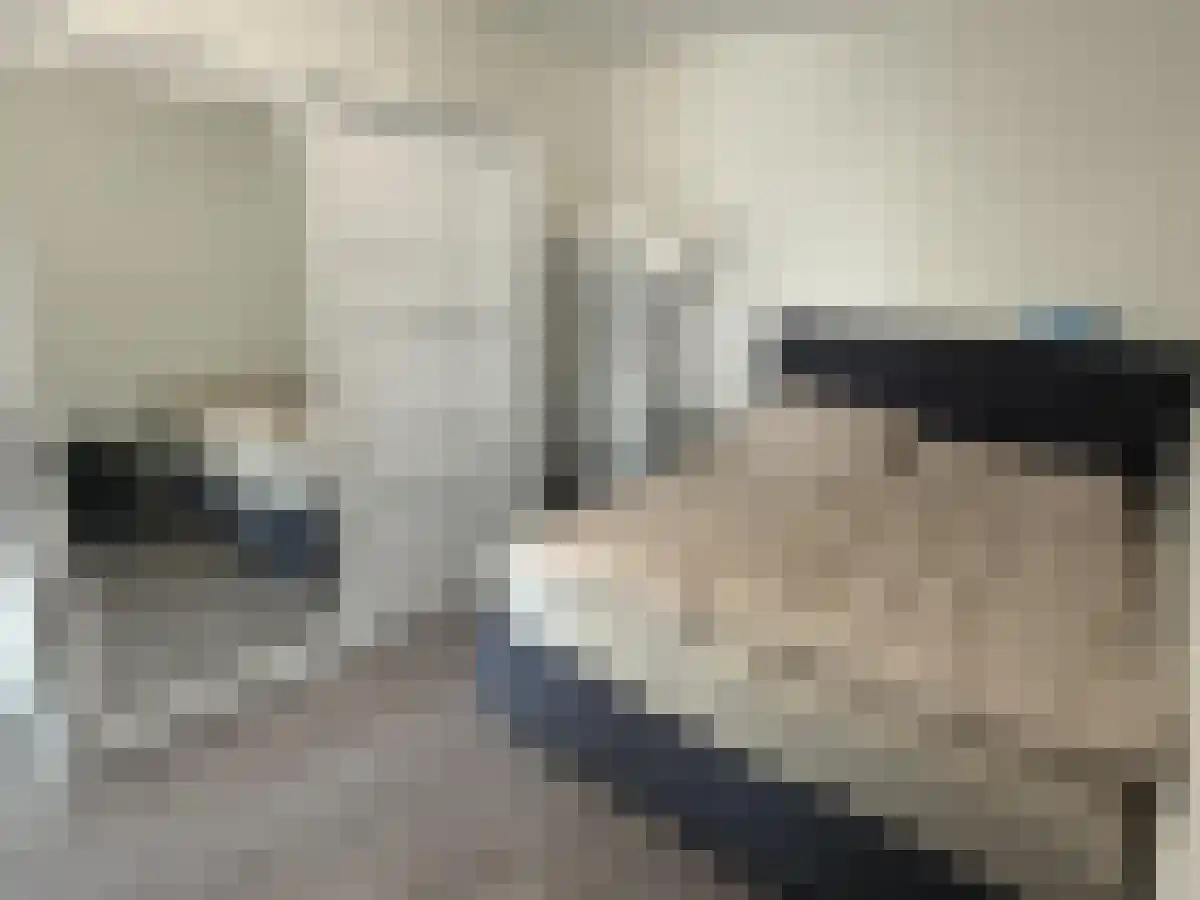 Baan 46 Rotterdam thumbnail 5