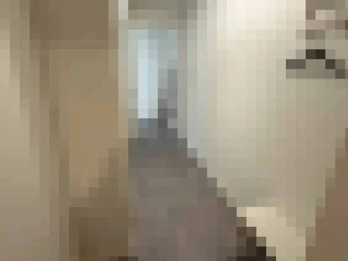 Baan 46 Rotterdam thumbnail 6