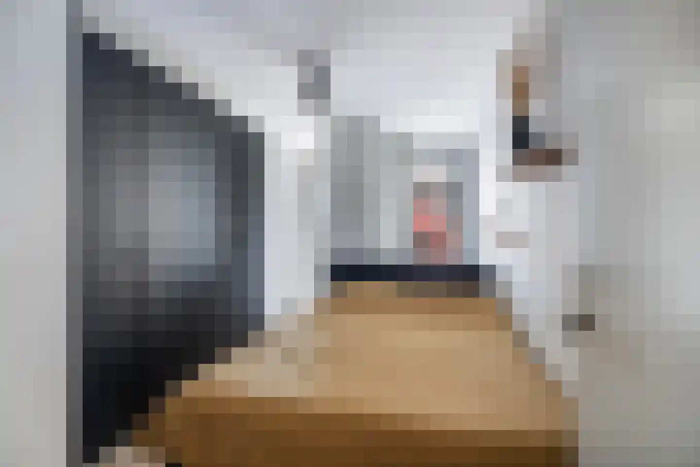 Baan 46 Y Rotterdam thumbnail 20