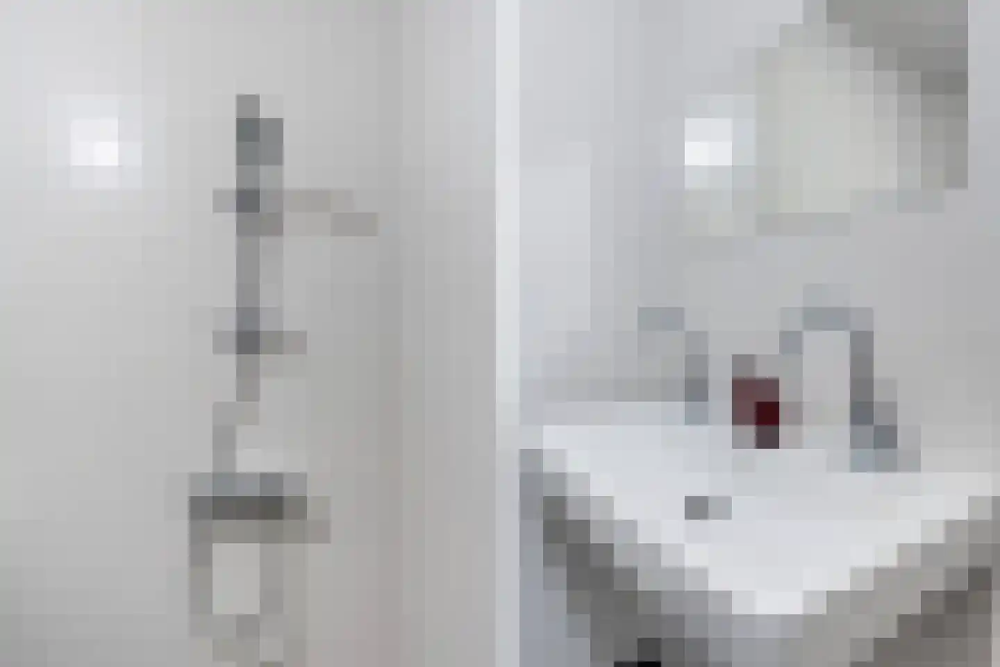 Baan 46 Y Rotterdam thumbnail 24