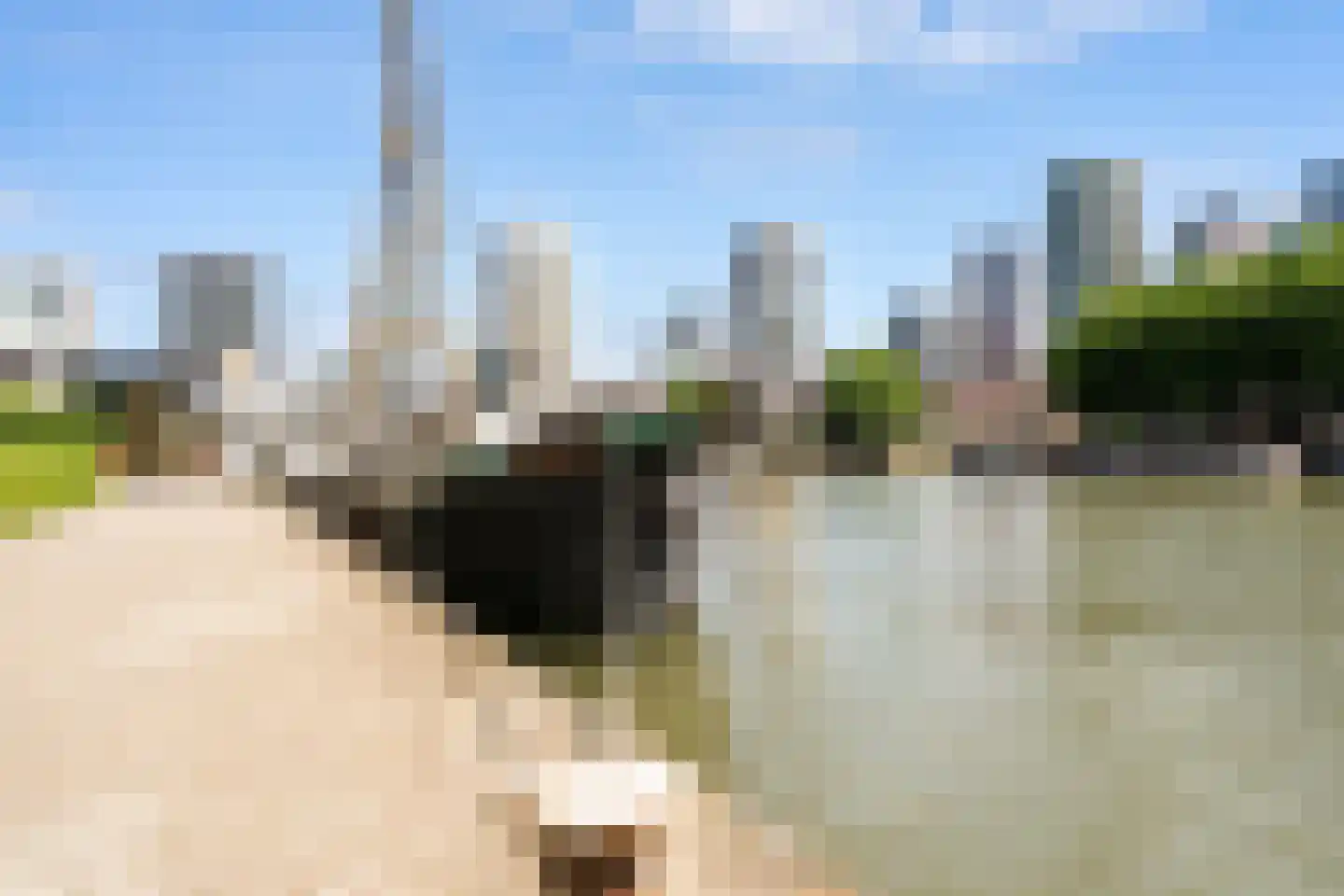 Baan 46 Y Rotterdam thumbnail 34