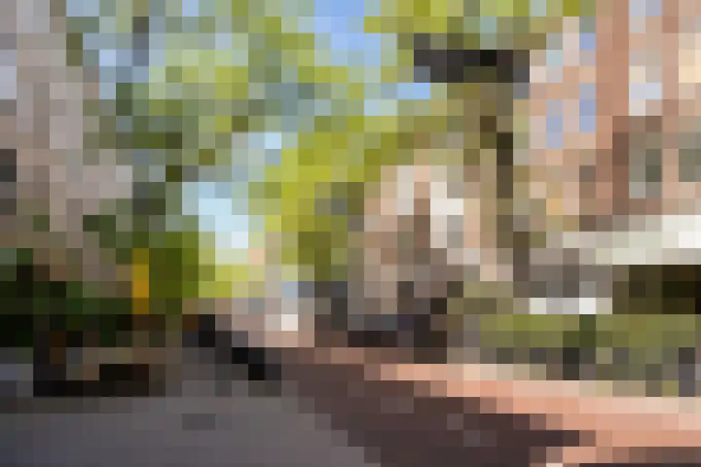 Baan 46 Y Rotterdam thumbnail 35