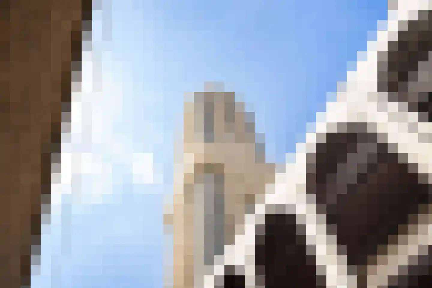Baan 46 Y Rotterdam thumbnail 4
